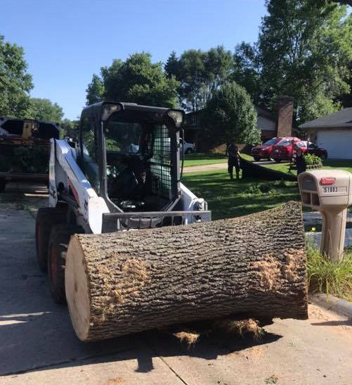 Tree Service Company in South Bend Indiana