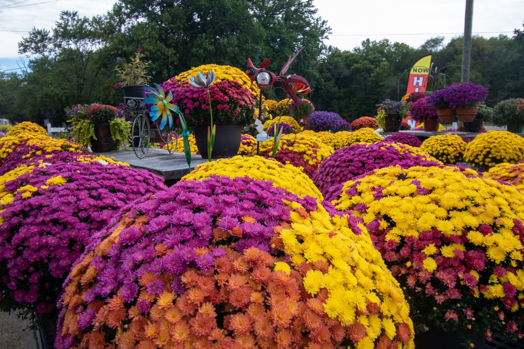 Unique Gifts and Treasures