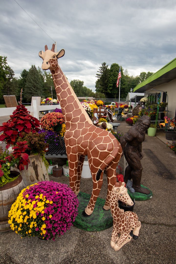 Liberty Creek Gift Shop South Bend