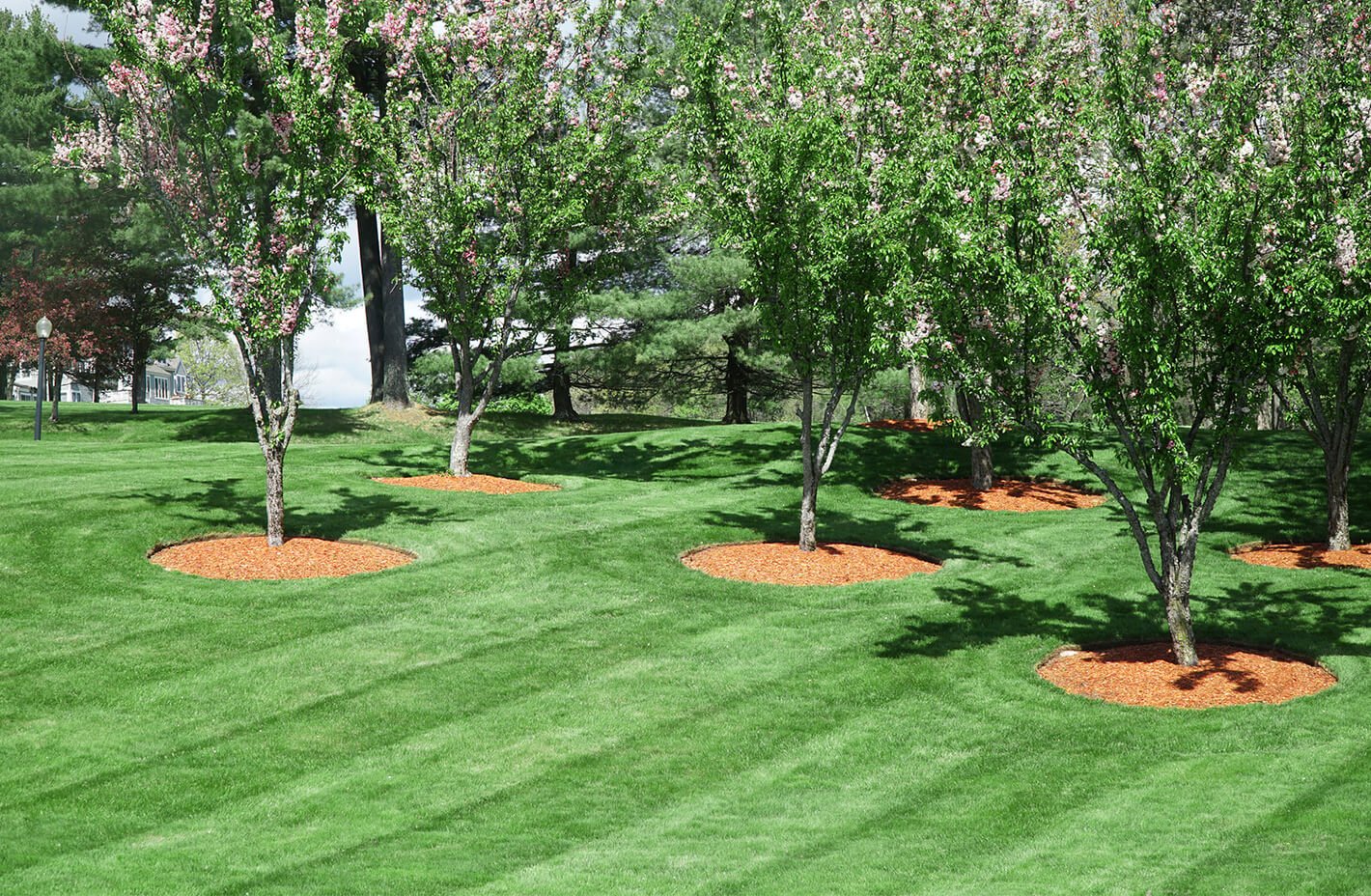 south bend landscaping company